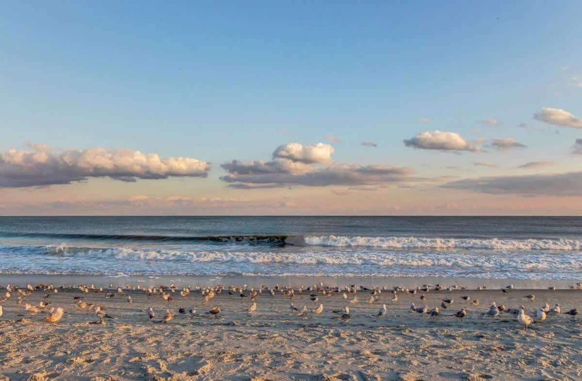 *Fresh Myrtle Beach Reno*Relax*Pools*Beach*More*T401 Exteriör bild